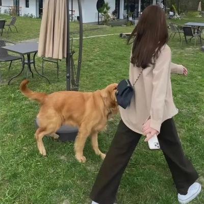 我的天才女友 第三季